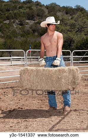 Working cowboy - A young cowboy is carrying a bale of hay to feed cattle or horses View Large Photo Image Stock Photo - Working cowboy - A young cowboy is carrying a bale of hay to feed cattle or horses. Fotosearch