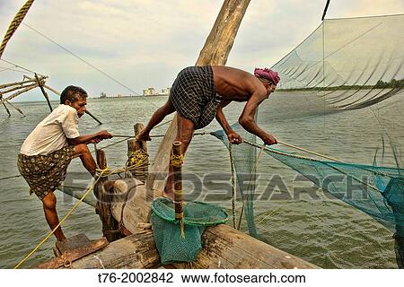 Stock Image - working the Chinese fishing nets in Fort Cochin (Kochi) in Kerala, India.. Fotosearch