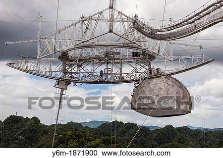 World's Largest Single-dish Radio Telescope, Arecibo Observatory, Arecibo, Puerto Rico View Large Photo Image Stock Image - World's Largest Single-dish Radio Telescope, Arecibo Observatory, Arecibo, Puerto Rico. Fotosearch
