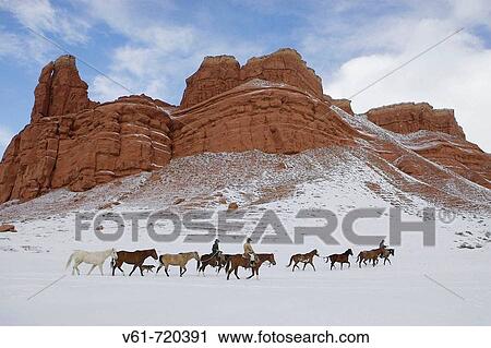 Wranglers leading their horses through the ranges of wyoming after a winter stormwranglers out for a ride in winter Shell, Wyoming, Usa View Large Photo Image Stock Image - Wranglers leading their horses through the ranges of wyoming after a winter stormwranglers out for a ride in winter Shell, Wyoming, Usa. Fotosearch
