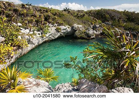 Xel-Ha amusement park on the Riviera Maya, Quintana Roo, Peninsula Yucatan, Mexico. View Large Photo Image Stock Image - Xel-Ha amusement park on the Riviera Maya, Quintana Roo, Peninsula Yucatan, Mexico.. Fotosearch