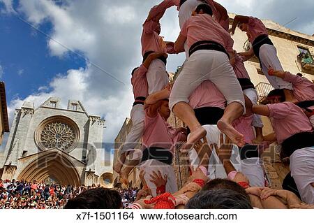 Xiquets de Tarragona? Castellers? building human tower, a Catalan tradition Festa de Santa Tecla, city festival Pla? a de les Cols Tarragona, Spain View Large Photo Image Picture - Xiquets de Tarragona? Castellers? building human tower, a Catalan tradition Festa de Santa Tecla, city festival Pla? a de les Cols Tarragona, Spain. Fotosearch