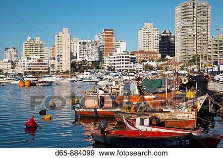 Yacht harbor, fishing boats, Punta del Este, Uruguay View Large Photo Image Stock Photo - Yacht harbor, fishing boats, Punta del Este, Uruguay. Fotosearch