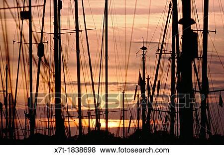Yacht masts in the sunset at a yacht marina at Eastney, Portsmouth, Hampshire, England View Large Photo Image Stock Photo - Yacht masts in the sunset at a yacht marina at Eastney, Portsmouth, Hampshire, England. Fotosearch