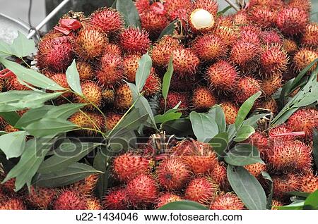 Yangshou (China): lychees View Large Photo Image Stock Photograph - Yangshou (China): lychees. Fotosearch
