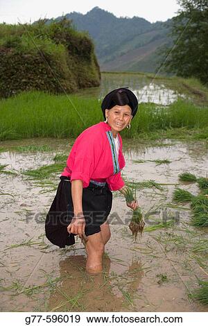 Yao Chinese woman. Guilin. Longsheng. Guangxi Province. China. View Large Photo Image Stock Photo - Yao Chinese woman. Guilin. Longsheng. Guangxi Province. China.. Fotosearch