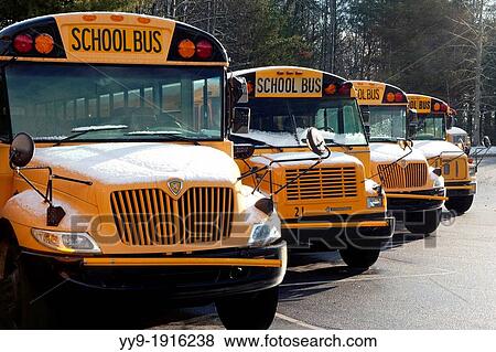 Yellow School Buses - Brevard, North Carolina USA View Large Photo Image Stock Photo - Yellow School Buses - Brevard, North Carolina USA. Fotosearch