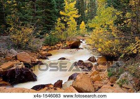 Stock Image - Yellow waters from local mining adds to the fall color foliage in Colorado high country. Fotosearch