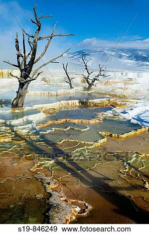 Yellowstone National Park 2009 View Large Photo Image Stock Photo - Yellowstone National Park 2009. Fotosearch