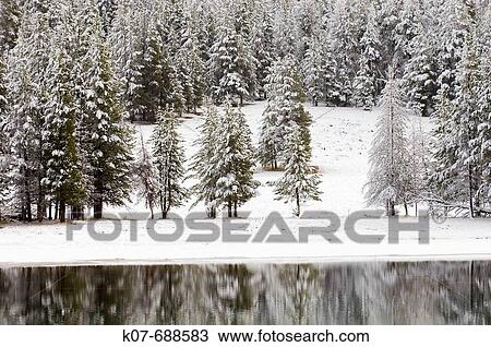 Yellowstone River in winter, Yellowstone National Park, Wyoming, USA. View Large Photo Image Stock Image - Yellowstone River in winter, Yellowstone National Park, Wyoming, USA.. Fotosearch