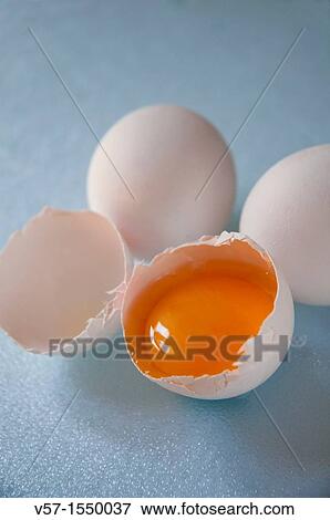 Yolk of white egg View Large Photo Image Stock Photo - Yolk of white egg. Fotosearch