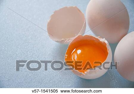 Yolk of white egg View Large Photo Image Stock Photography - Yolk of white egg. Fotosearch