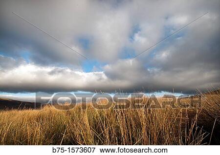 Stock Photo - Yorkshire Dales, North Yorkshire, England, UK, countryside. Fotosearch