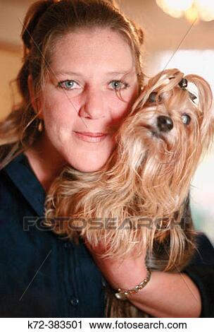 Yorkshire terrier. View Large Photo Image Stock Image - Yorkshire terrier.. Fotosearch