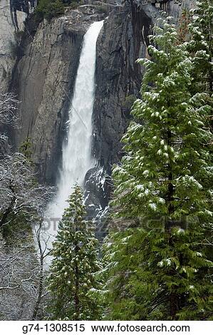 Yosemite Falls after fresh snow, Yosemite National Park, California, USA View Large Photo Image Stock Photography - Yosemite Falls after fresh snow, Yosemite National Park, California, USA. Fotosearch
