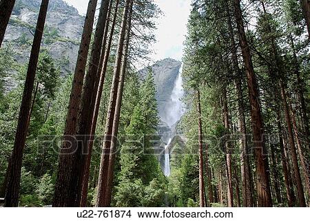 Picture - Yosemite National Park California, waterfall. Fotosearch
