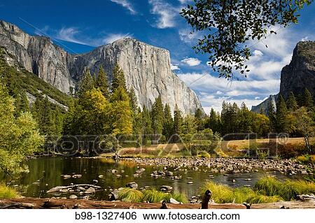 Yosemite National Park, California Merced River with El Capitan and the Cathedral Rocks View Large Photo Image Stock Photograph - Yosemite National Park, California Merced River with El Capitan and the Cathedral Rocks. Fotosearch