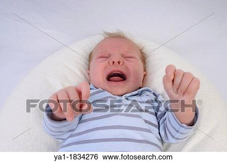 Young baby boy 6 weeks old crying, France View Large Photo Image Stock Photograph - Young baby boy 6 weeks old crying, France. Fotosearch