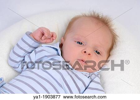 Young baby boy 6 weeks old, France View Large Photo Image Stock Photo - Young baby boy 6 weeks old, France. Fotosearch