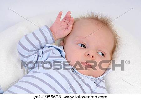 Young baby boy 6 weeks old, France View Large Photo Image Stock Photo - Young baby boy 6 weeks old, France. Fotosearch