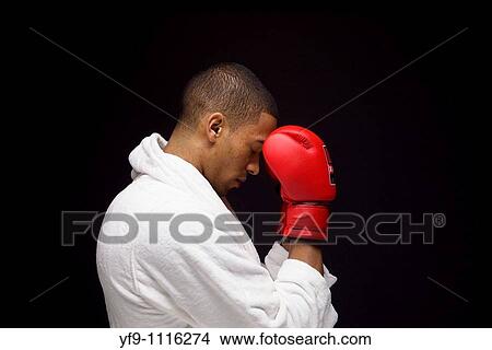 Young boxer. View Large Photo Image Picture - Young boxer.. Fotosearch