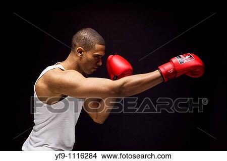 Young boxer. View Large Photo Image Picture - Young boxer.. Fotosearch