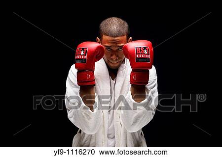 Young boxer. View Large Photo Image Stock Image - Young boxer.. Fotosearch