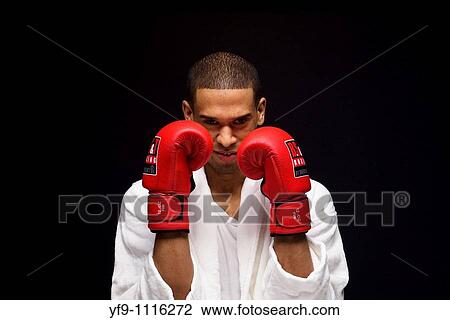 Young boxer. View Large Photo Image Stock Image - Young boxer.. Fotosearch