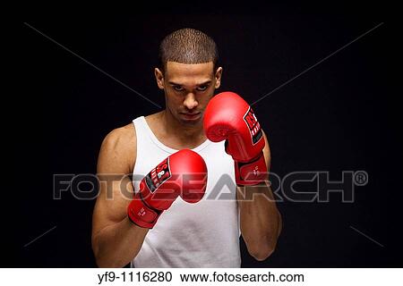 Young boxer. View Large Photo Image Stock Image - Young boxer.. Fotosearch