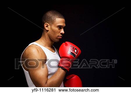 Young boxer. View Large Photo Image Stock Image - Young boxer.. Fotosearch