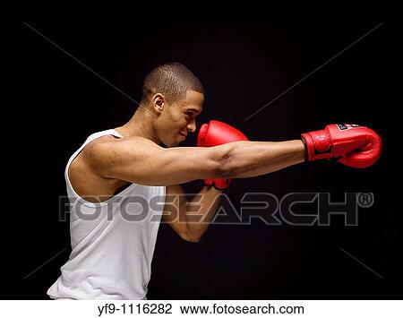Young boxer. View Large Photo Image Stock Image - Young boxer.. Fotosearch