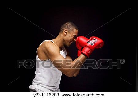 Stock Image - Young boxer.. Fotosearch