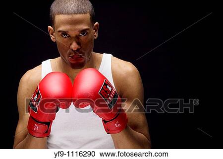 Young boxer. View Large Photo Image Stock Image - Young boxer.. Fotosearch