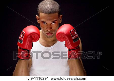Young boxer. View Large Photo Image Stock Image - Young boxer.. Fotosearch