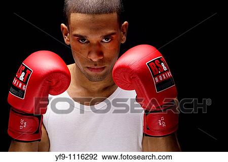 Young boxer. View Large Photo Image Stock Image - Young boxer.. Fotosearch