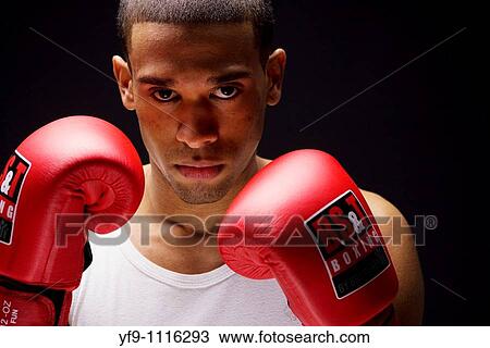 Young boxer. View Large Photo Image Stock Image - Young boxer.. Fotosearch