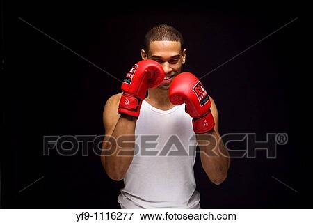 Young boxer. View Large Photo Image Stock Photo - Young boxer.. Fotosearch