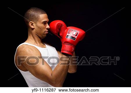 Young boxer. View Large Photo Image Stock Photo - Young boxer.. Fotosearch