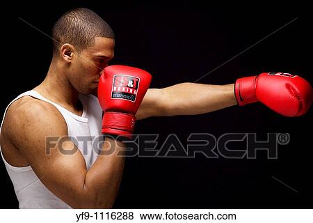 Young boxer. View Large Photo Image Stock Photo - Young boxer.. Fotosearch