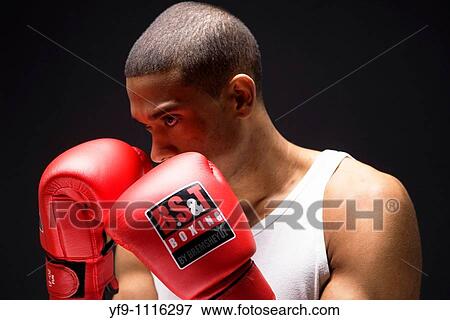 Young boxer. View Large Photo Image Stock Photo - Young boxer.. Fotosearch