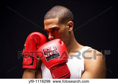 Young boxer. View Large Photo Image Stock Photo - Young boxer.. Fotosearch