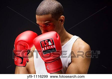 Young boxer. View Large Photo Image Stock Photo - Young boxer.. Fotosearch