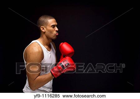 Young boxer. View Large Photo Image Stock Photography - Young boxer.. Fotosearch