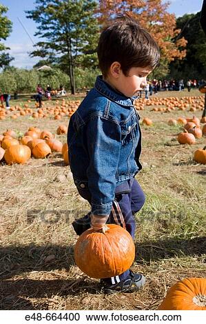 Young boy carrying pumpkin in pumpkin patch View Large Photo Image Stock Image - Young boy carrying pumpkin in pumpkin patch. Fotosearch