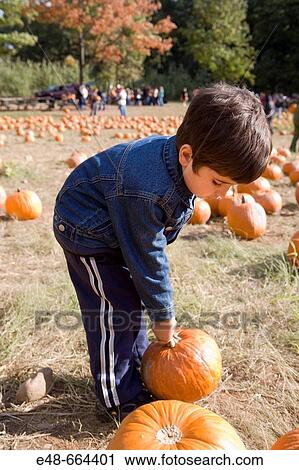 Young boy carrying pumpkin in pumpkin patch View Large Photo Image Stock Image - Young boy carrying pumpkin in pumpkin patch. Fotosearch