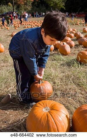 Young boy carrying pumpkin in pumpkin patch View Large Photo Image Stock Image - Young boy carrying pumpkin in pumpkin patch. Fotosearch