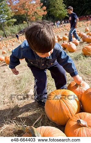 Stock Image - Young boy carrying pumpkin in pumpkin patch. Fotosearch