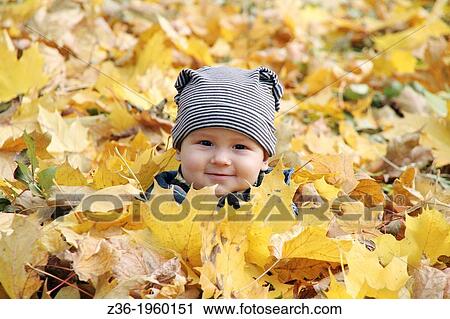 Young boy covered with autumn leaves. View Large Photo Image Stock Image - Young boy covered with autumn leaves.. Fotosearch
