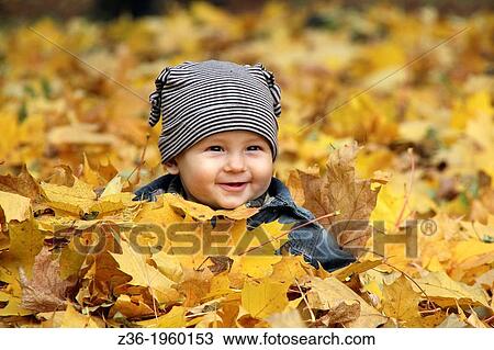 Young boy covered with autumn leaves. View Large Photo Image Stock Image - Young boy covered with autumn leaves.. Fotosearch