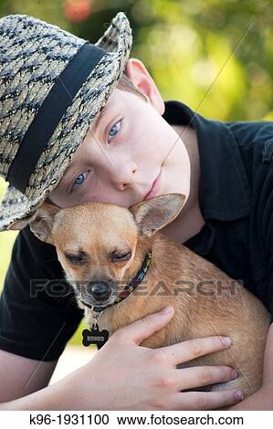 young boy holding his pet Chihuahua View Large Photo Image Stock Image - young boy holding his pet Chihuahua. Fotosearch